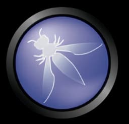 OWASP